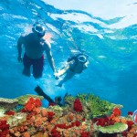 Snorkeling in Key West and Key West Attractions