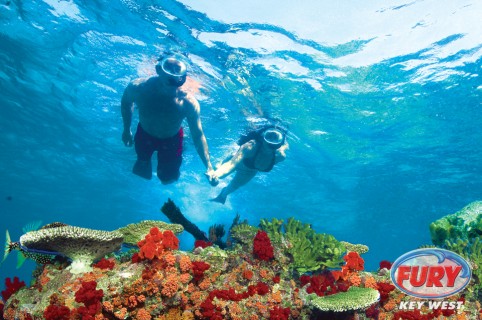 Snorkeling in Key West and Key West Attractions