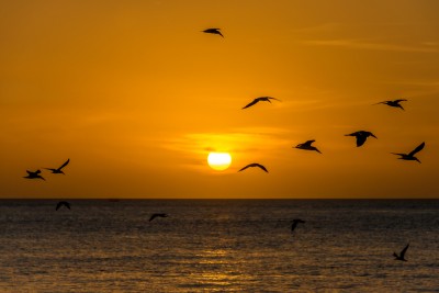 Key West sunsets