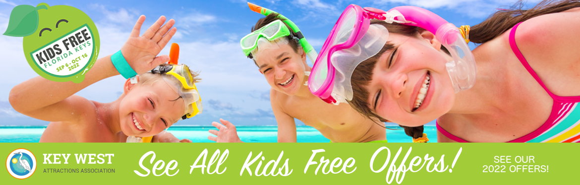 See All Kids Free Offers
