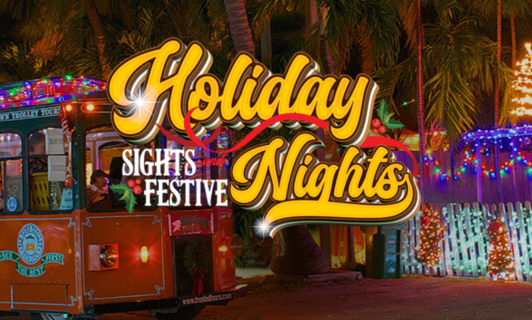 Trolley Holiday Lights Tours