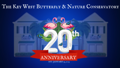  KW Butterfly Conservatory 20th Anniversary
